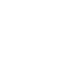 Dannie Kart LLC